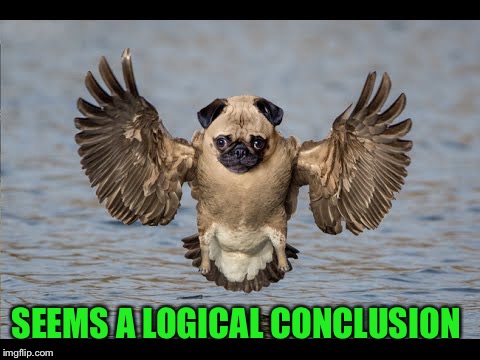 SEEMS A LOGICAL CONCLUSION | made w/ Imgflip meme maker