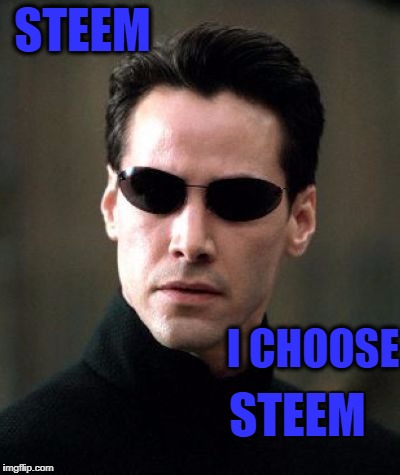 STEEM; I CHOOSE; STEEM | made w/ Imgflip meme maker