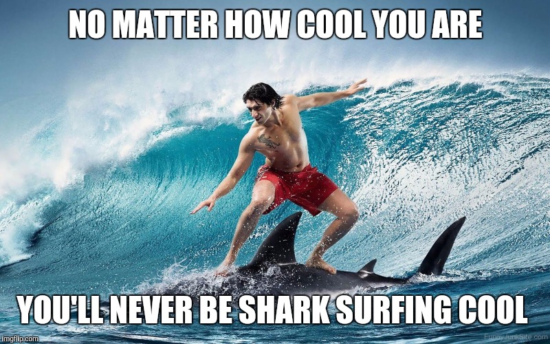 Shark Week...A Raydog and Discovery Channel event | NO MATTER HOW COOL YOU ARE; YOU'LL NEVER BE SHARK SURFING COOL | image tagged in jbmemegeek,surfing,shark week,shark surfing | made w/ Imgflip meme maker