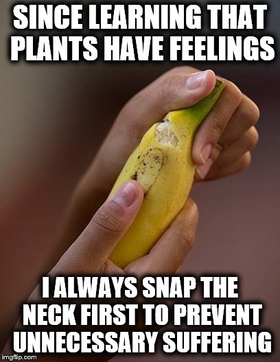 SINCE LEARNING THAT PLANTS HAVE FEELINGS; I ALWAYS SNAP THE NECK FIRST TO PREVENT UNNECESSARY SUFFERING | image tagged in open banana | made w/ Imgflip meme maker