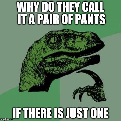 Philosoraptor Meme | WHY DO THEY CALL IT A PAIR OF PANTS; IF THERE IS JUST ONE | image tagged in memes,philosoraptor | made w/ Imgflip meme maker