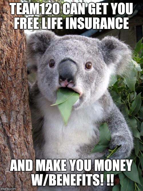 Surprised Koala Meme | TEAM120 CAN GET YOU FREE LIFE INSURANCE; AND MAKE YOU MONEY W/BENEFITS! !! | image tagged in memes,surprised koala | made w/ Imgflip meme maker