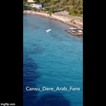 image tagged in gifs | made w/ Imgflip video-to-gif maker