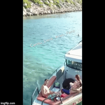 image tagged in gifs | made w/ Imgflip video-to-gif maker