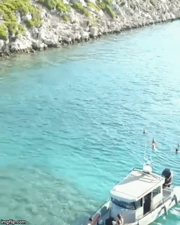 image tagged in gifs | made w/ Imgflip video-to-gif maker