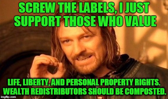 One Does Not Simply Meme | SCREW THE LABELS, I JUST SUPPORT THOSE WHO VALUE LIFE, LIBERTY, AND PERSONAL PROPERTY RIGHTS. WEALTH REDISTRIBUTORS SHOULD BE COMPOSTED. | image tagged in memes,one does not simply | made w/ Imgflip meme maker