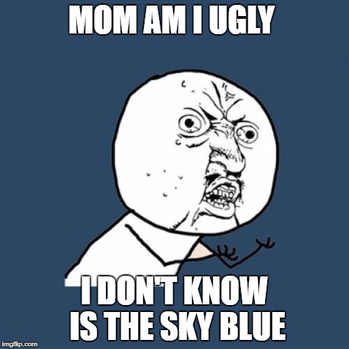 Y U No Meme | MOM AM I UGLY; I DON'T KNOW IS THE SKY BLUE | image tagged in memes,y u no | made w/ Imgflip meme maker