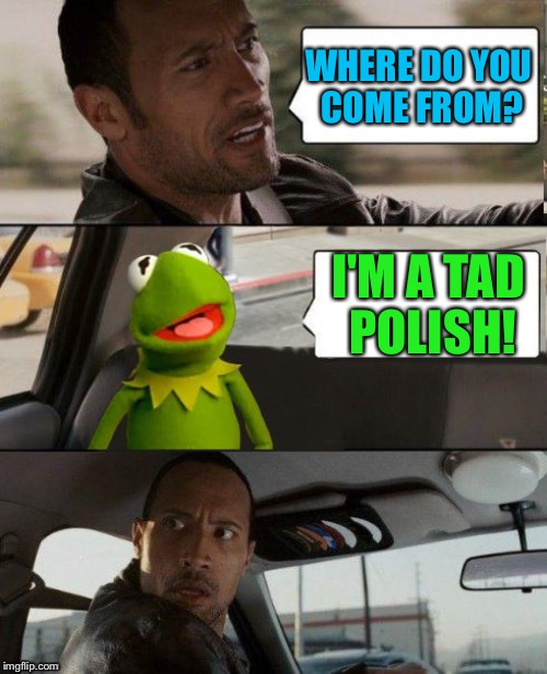 WHERE DO YOU COME FROM? I'M A TAD POLISH! | made w/ Imgflip meme maker