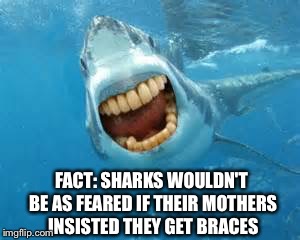 FACT: SHARKS WOULDN'T BE AS FEARED IF THEIR MOTHERS INSISTED THEY GET BRACES | made w/ Imgflip meme maker