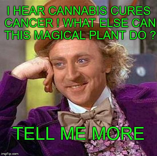 Wonder Cure ! | I HEAR CANNABIS CURES CANCER ! WHAT ELSE CAN THIS MAGICAL PLANT DO ? TELL ME MORE | image tagged in memes,creepy condescending wonka,cannabis,weed,cancer,cure | made w/ Imgflip meme maker