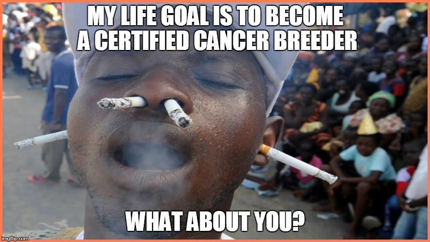 the cancer breeder | MY LIFE GOAL IS TO BECOME A CERTIFIED CANCER BREEDER; WHAT ABOUT YOU? | image tagged in stupid,cigarettes,cancer | made w/ Imgflip meme maker