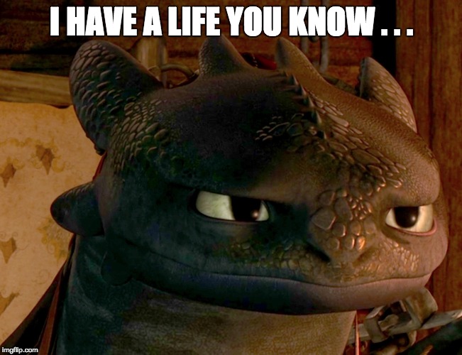 I HAVE A LIFE YOU KNOW . . . | image tagged in toothless,how to train your dragon | made w/ Imgflip meme maker