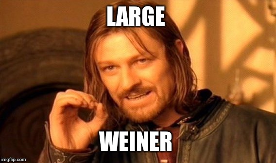 One Does Not Simply Meme | LARGE WEINER | image tagged in memes,one does not simply | made w/ Imgflip meme maker