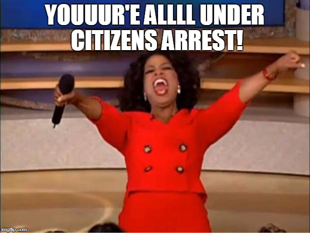 Oprah You Get A Meme | YOUUUR'E ALLLL UNDER CITIZENS ARREST! | image tagged in memes,oprah you get a | made w/ Imgflip meme maker