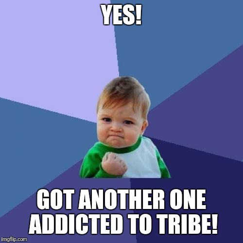Success Kid Meme | YES! GOT ANOTHER ONE ADDICTED TO TRIBE! | image tagged in memes,success kid | made w/ Imgflip meme maker