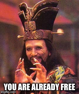 Lo pan | YOU ARE ALREADY FREE | image tagged in lo pan | made w/ Imgflip meme maker