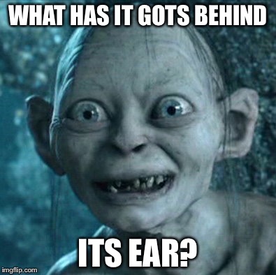 Gollum Meme | WHAT HAS IT GOTS BEHIND; ITS EAR? | image tagged in memes,gollum | made w/ Imgflip meme maker