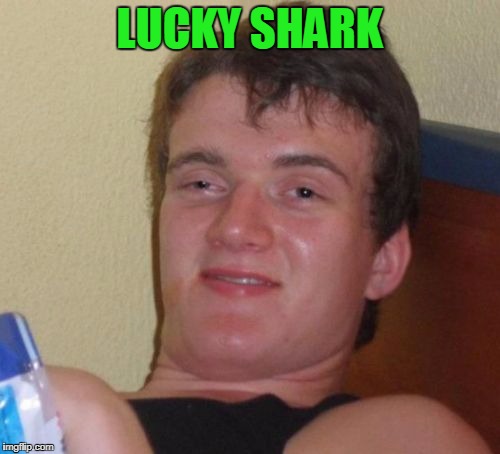 10 Guy Meme | LUCKY SHARK | image tagged in memes,10 guy | made w/ Imgflip meme maker