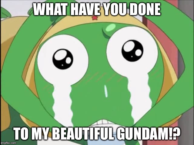 WHAT HAVE YOU DONE; TO MY BEAUTIFUL GUNDAM!? | image tagged in keroro crying | made w/ Imgflip meme maker