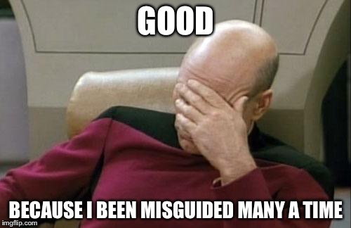 Captain Picard Facepalm Meme | GOOD BECAUSE I BEEN MISGUIDED MANY A TIME | image tagged in memes,captain picard facepalm | made w/ Imgflip meme maker