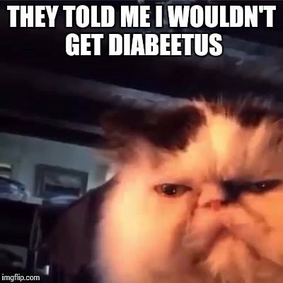 THEY TOLD ME I WOULDN'T GET DIABEETUS | made w/ Imgflip meme maker