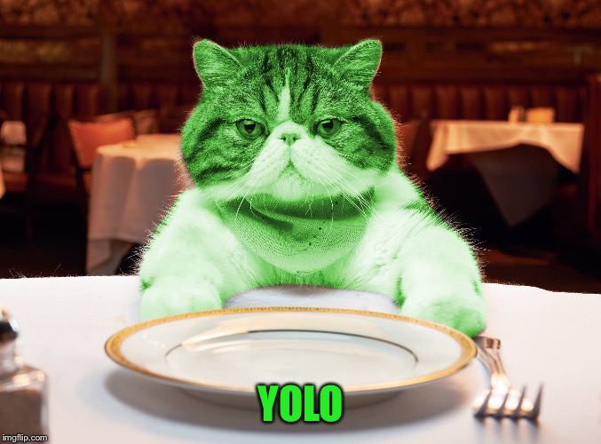 RayCat Hungry | YOLO | image tagged in raycat hungry | made w/ Imgflip meme maker