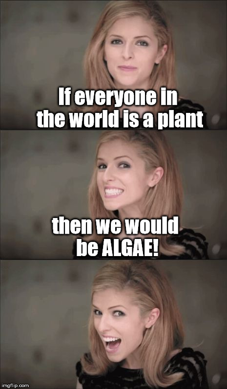 Just thought of this one during science. | If everyone in the world is a plant; then we would be ALGAE! | image tagged in memes,bad pun anna kendrick | made w/ Imgflip meme maker