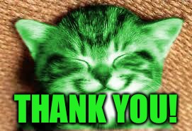 happy RayCat | THANK YOU! | image tagged in happy raycat | made w/ Imgflip meme maker