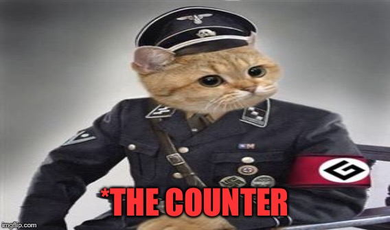 *THE COUNTER | made w/ Imgflip meme maker