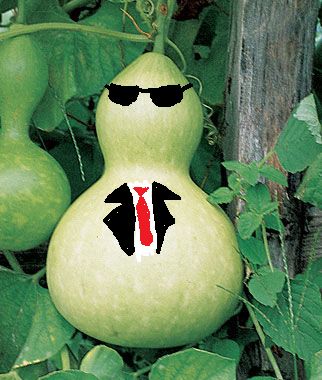 Body gourd Blank Meme Template