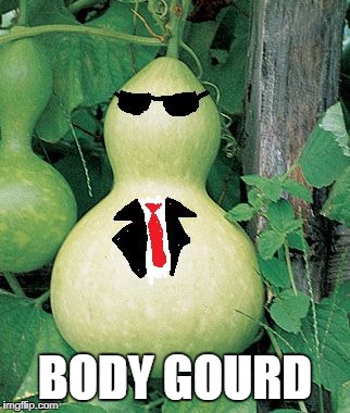 Body gourd | BODY GOURD | image tagged in body gourd | made w/ Imgflip meme maker