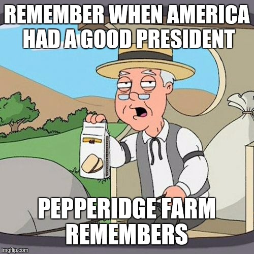 Pepperidge Farm Remembers Meme | REMEMBER WHEN AMERICA HAD A GOOD PRESIDENT; PEPPERIDGE FARM REMEMBERS | image tagged in memes,pepperidge farm remembers | made w/ Imgflip meme maker