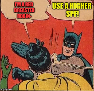 Use Good Sunscreen  | I'M A RED BREASTED ROBIN-; USE A HIGHER SPF! | image tagged in memes,batman slapping robin | made w/ Imgflip meme maker