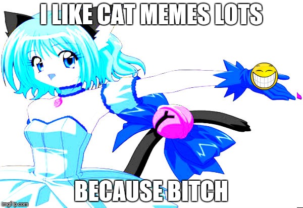 I LIKE CAT MEMES LOTS BECAUSE B**CH | made w/ Imgflip meme maker