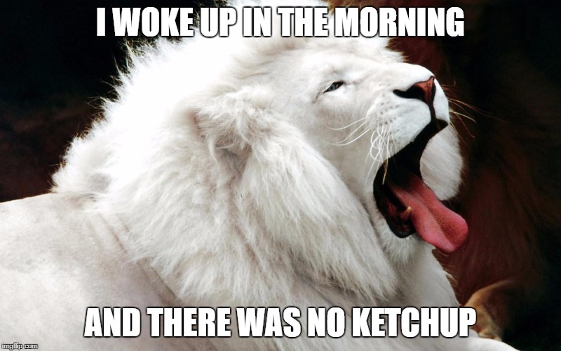 I WOKE UP IN THE MORNING; AND THERE WAS NO KETCHUP | image tagged in morning face | made w/ Imgflip meme maker