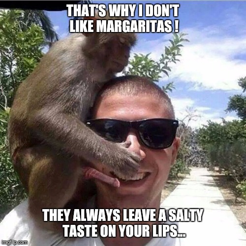 Salty Taste | THAT'S WHY I DON'T LIKE MARGARITAS ! THEY ALWAYS LEAVE A SALTY TASTE ON YOUR LIPS... | image tagged in salty taste,monkey,drunk guy,margarita,love is blind,memes | made w/ Imgflip meme maker