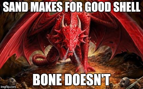 SAND MAKES FOR GOOD SHELL BONE DOESN'T | made w/ Imgflip meme maker