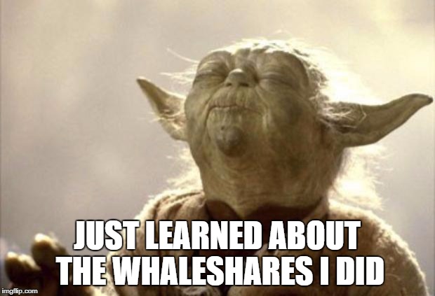 IN 2013 YODA BE LIKE | JUST LEARNED ABOUT THE WHALESHARES I DID | image tagged in in 2013 yoda be like | made w/ Imgflip meme maker