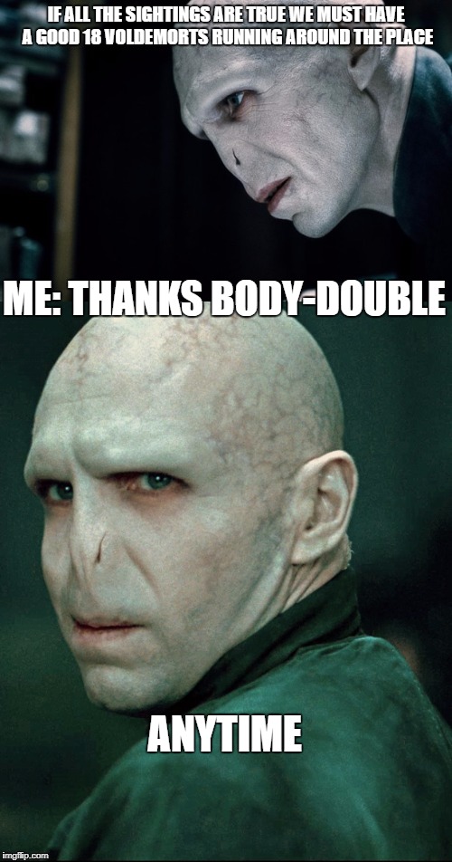The Truth | IF ALL THE SIGHTINGS ARE TRUE WE MUST HAVE A GOOD 18 VOLDEMORTS RUNNING AROUND THE PLACE; ME: THANKS BODY-DOUBLE; ANYTIME | image tagged in lord voldemort | made w/ Imgflip meme maker