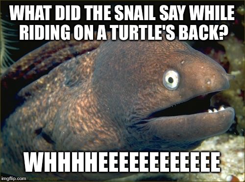 Bad Joke Eel Meme - Imgflip