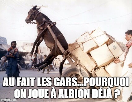 Donkey | AU FAIT LES GARS...POURQUOI ON JOUE À ALBION DÉJÀ ? | image tagged in donkey | made w/ Imgflip meme maker