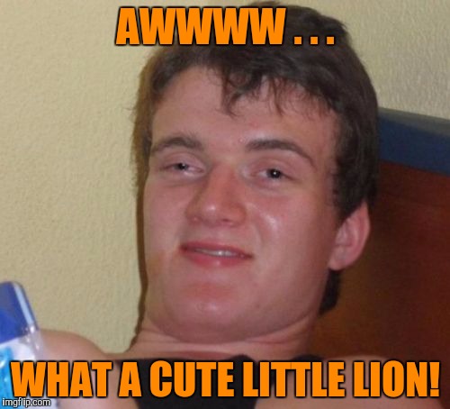 10 Guy Meme | AWWWW . . . WHAT A CUTE LITTLE LION! | image tagged in memes,10 guy | made w/ Imgflip meme maker