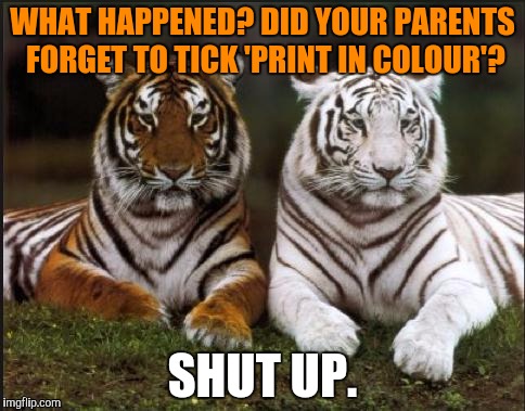 Is this a bit mean? | WHAT HAPPENED? DID YOUR PARENTS FORGET TO TICK 'PRINT IN COLOUR'? SHUT UP. | image tagged in memes,tiger week,tigerlegend1046,print in colour,forgetting,animals | made w/ Imgflip meme maker