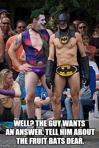 WELL? THE GUY WANTS AN ANSWER. TELL HIM ABOUT THE FRUIT BATS DEAR. | made w/ Imgflip meme maker