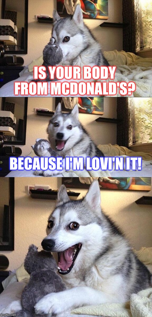 Bad Pun Dog Meme | IS YOUR BODY FROM MCDONALD'S? BECAUSE I'M LOVI'N IT! | image tagged in memes,bad pun dog | made w/ Imgflip meme maker