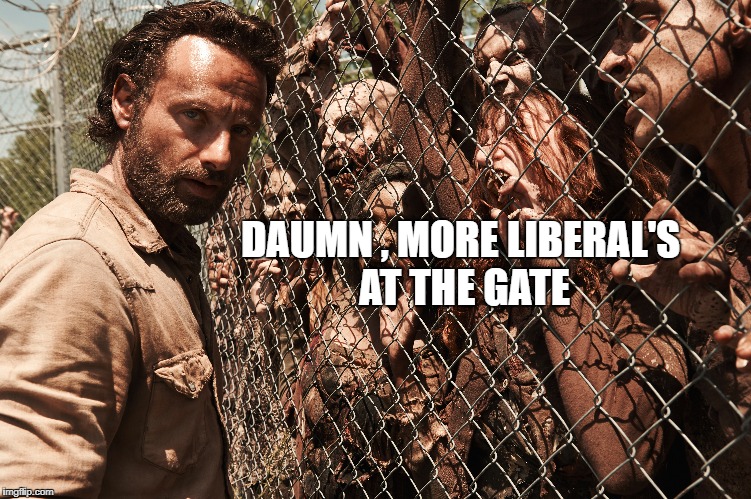 DAUMN , MORE LIBERAL'S AT THE GATE | image tagged in the walking dead,liberals,zombies | made w/ Imgflip meme maker