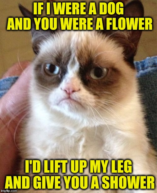 Grumpy Cat Meme | IF I WERE A DOG AND YOU WERE A FLOWER; I'D LIFT UP MY LEG AND GIVE YOU A SHOWER | image tagged in memes,grumpy cat | made w/ Imgflip meme maker