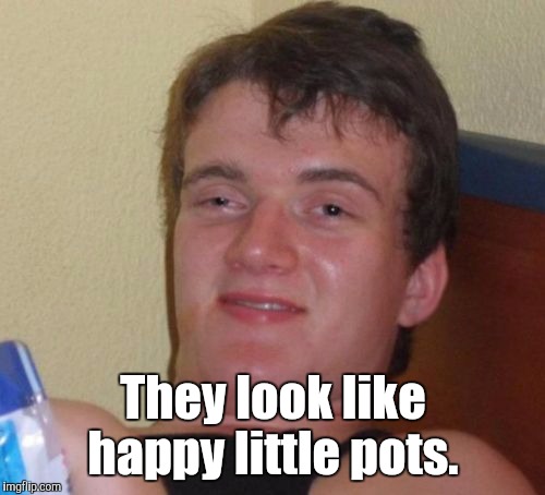 10 Guy Meme | They look like happy little pots. | image tagged in memes,10 guy | made w/ Imgflip meme maker