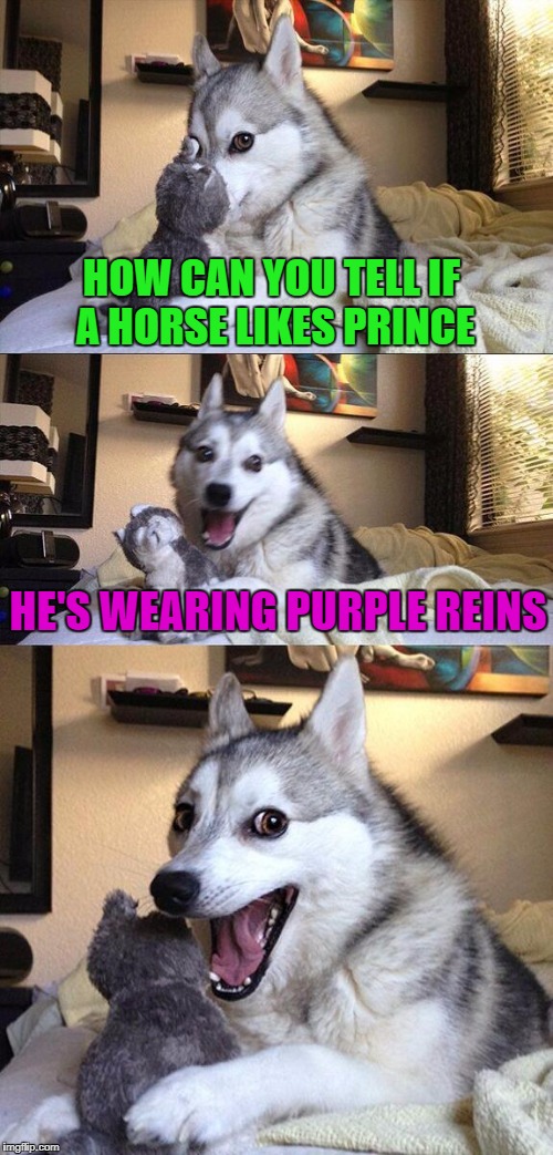 For a little friend... | HOW CAN YOU TELL IF A HORSE LIKES PRINCE; HE'S WEARING PURPLE REINS | image tagged in memes,bad pun dog,dogs,funny,animals,bad puns | made w/ Imgflip meme maker