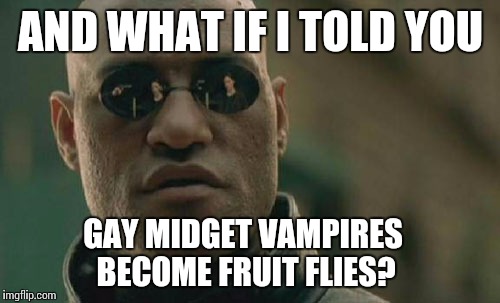 Matrix Morpheus Meme | AND WHAT IF I TOLD YOU GAY MIDGET VAMPIRES BECOME FRUIT FLIES? | image tagged in memes,matrix morpheus | made w/ Imgflip meme maker